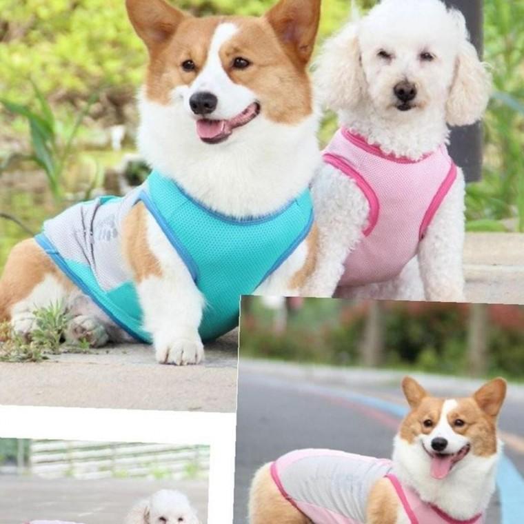 강아지 반사 선명 쿨티 쿨조끼 여름 쿨링 베스트 8XL