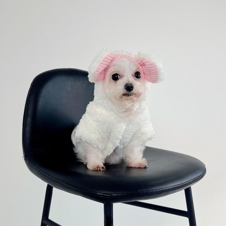 강아지 양털 후리스 겨울옷 뽀글이 따뜻한 대형견 소형견 반려견 애견 아우터 점퍼 잠바