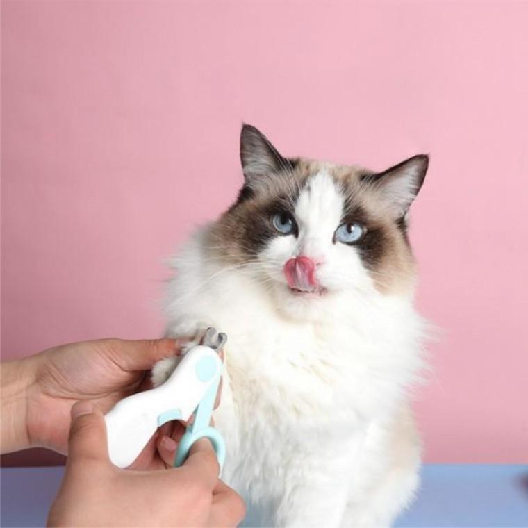 애견 반려동물 발톱 깎이 애묘 강아지 발톱 깎이 고양이 관리