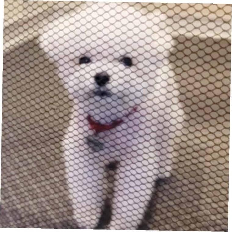 강아지 울타리 대형 유아울타리 애견울타리 강아지펜스