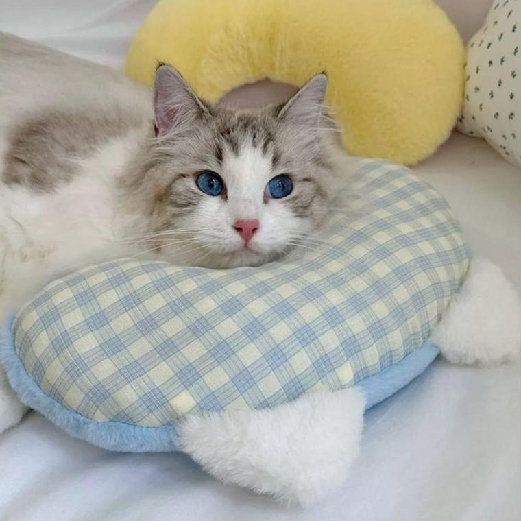 강아지 고양이 잠자리 베개 귀여운 벨벳 목 쿠션 애견용