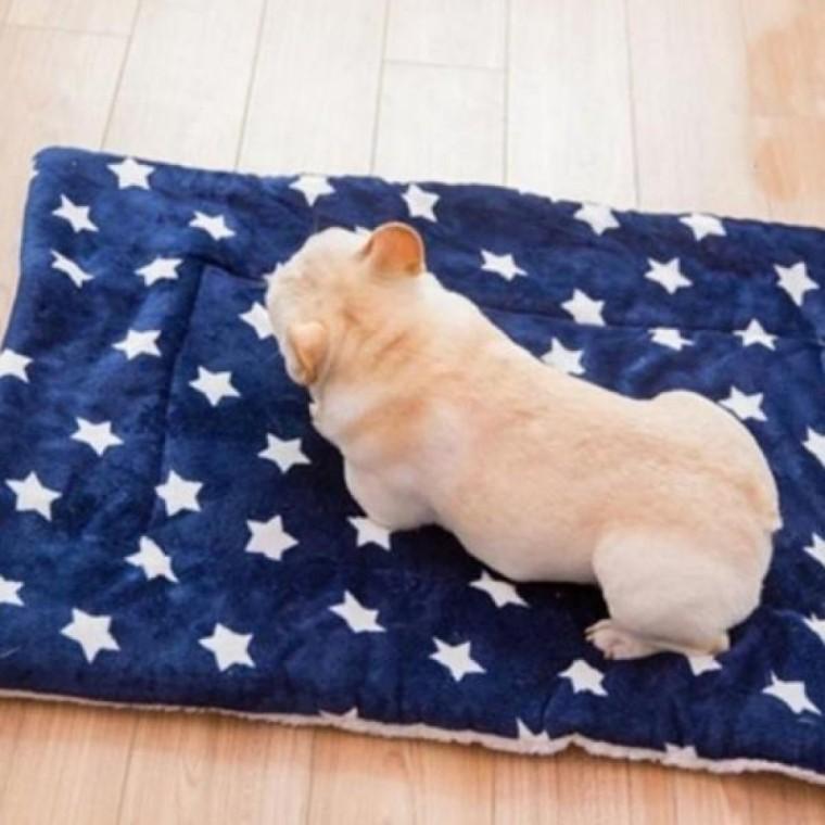 반려동물 애견 방석 고양이 강아지 방석 쿠션 이불