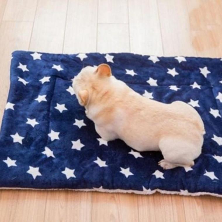반려동물 애견 방석 고양이 강아지 방석 쿠션 동물