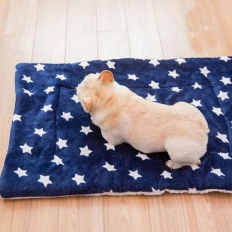극세사 애견 방석 강아지용 강아지 방석 반려동물 담요
