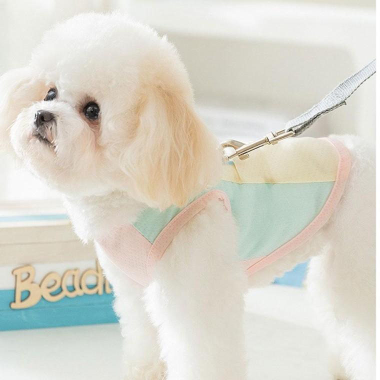 쿨파스텔 강아지 고양이 여름 쿨링 티셔츠