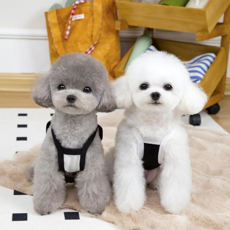 강아지 블랙앤화이트 여름 민소매 리본 나시티