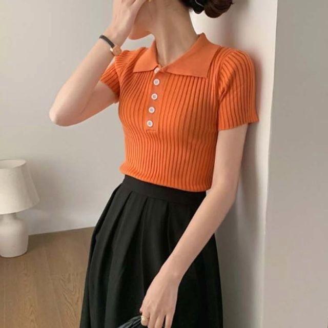 카라 반팔 니트티 7색 골지니트 여성 여름 슬림핏