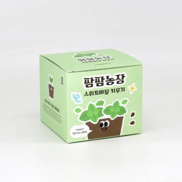 스위트바질 모종 화분 식물 키우기 교육자료 유치원 어린이집 체험 미니텃밭
