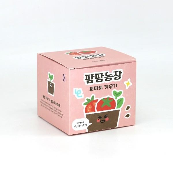방울토마토 모종 화분 식물 키우기 교육자료 유치원 어린이집 체험 미니텃밭