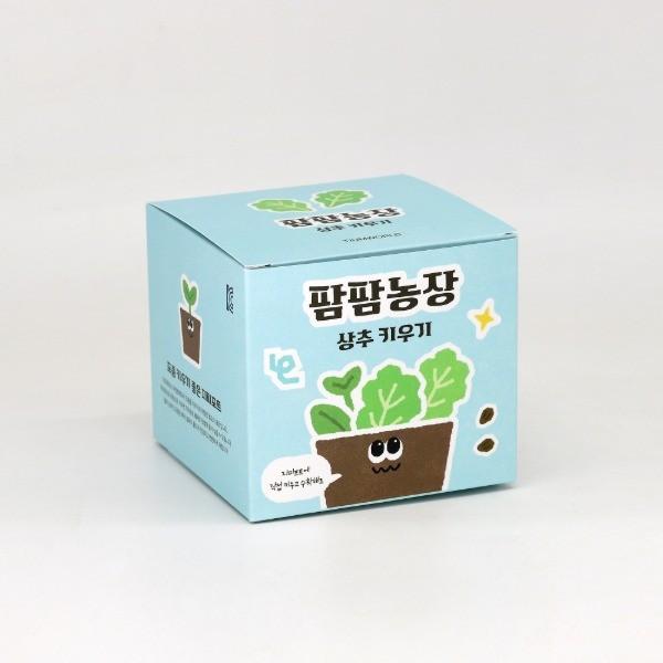 상추 모종 화분 식물 키우기 교육자료 유치원 어린이집 체험 미니텃밭