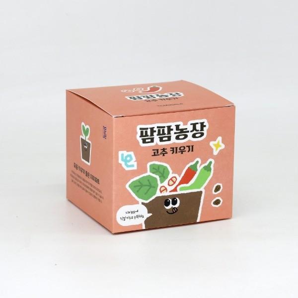 고추 모종 화분 식물 키우기 교육자료 유치원 어린이집 체험 미니텃밭
