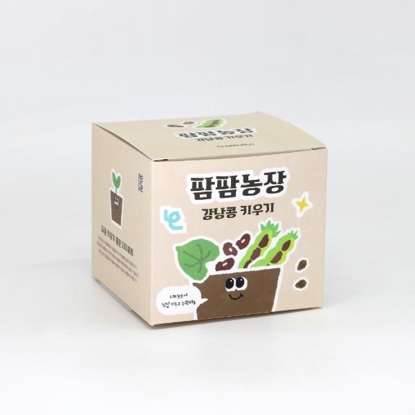 강낭콩 모종 화분 식물 키우기 교육자료 유치원 어린이집 체험 미니텃밭
