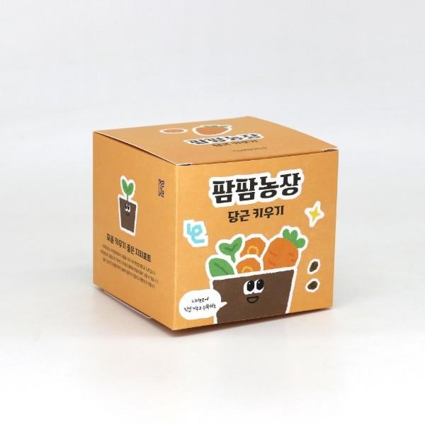 당근 모종 화분 식물 키우기 교육자료 유치원 어린이집 체험 미니텃밭