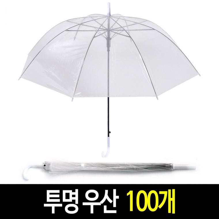 투명 우산 (100개) 비닐 자동 우산 일회용 장우산 그리기 작품 우산