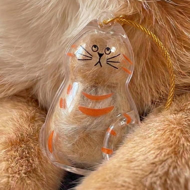 반려동물 고양이 털 뭉치 보관 투명 캡슐 키링