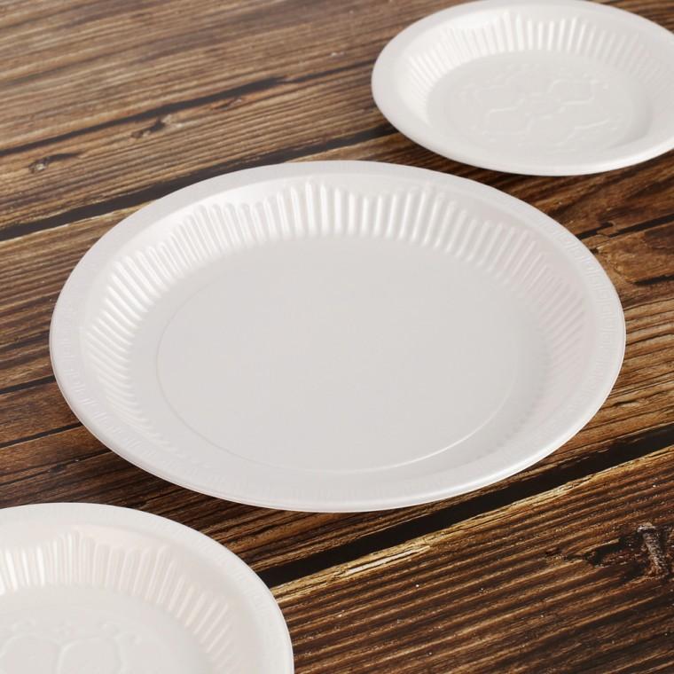PS접시 10개입(25cm) 일회용원형그릇