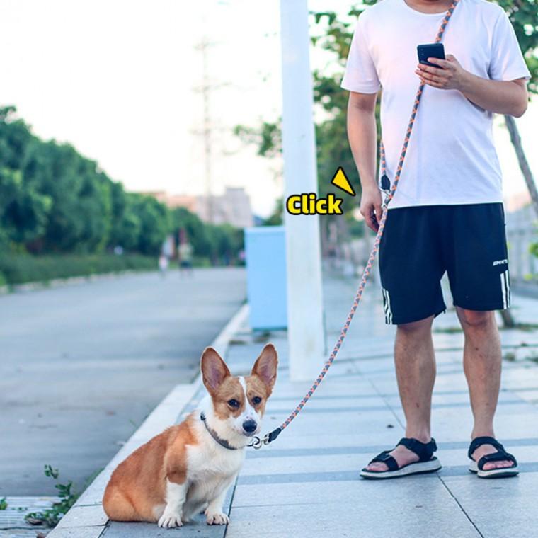 핸즈프리 강아지 리드줄 2.6M S(8mm-10KG 이하) 그레이오렌지