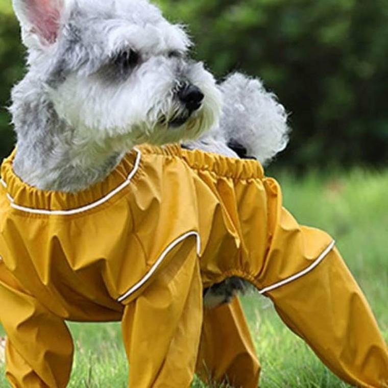 강아지 발바닥 반려동물 데일리 중소형견 디자인