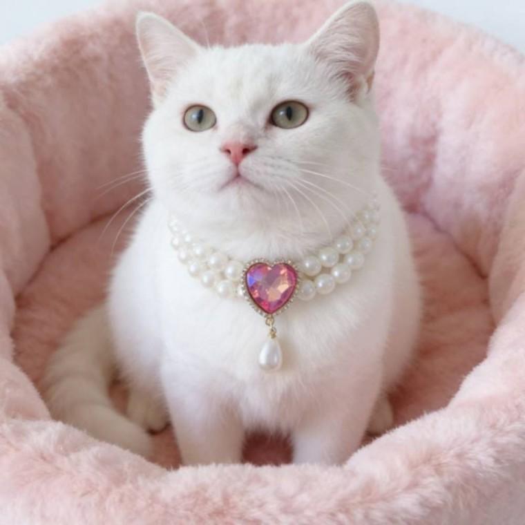 목걸이 반려동물 펜던트 패션 악세사리 강아지 고양이 진주
