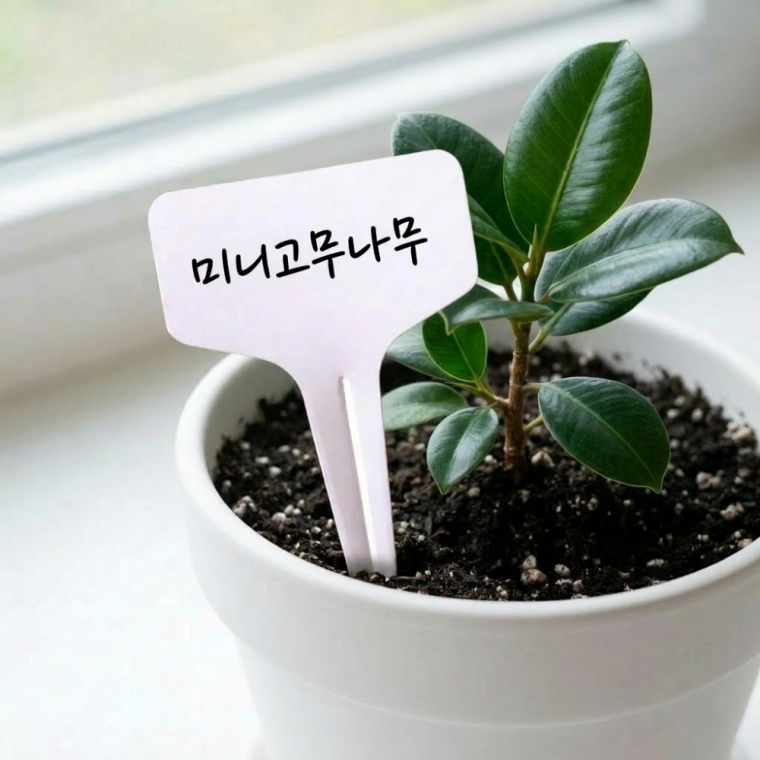 플라스틱 식물 네임태그 화분 라벨 10개 세트