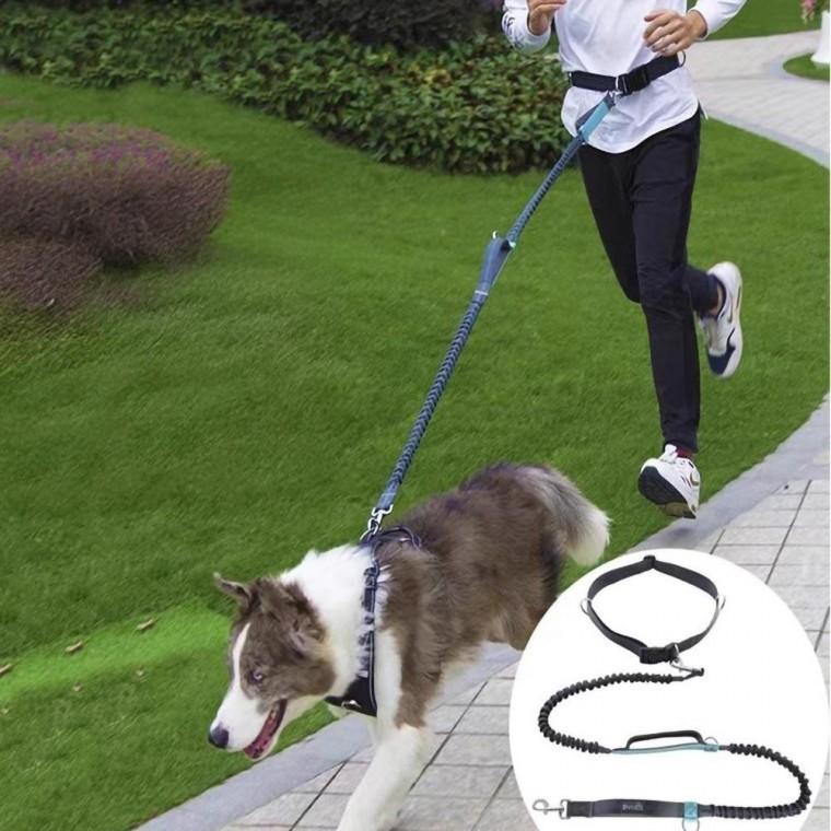 핸즈프리 강아지 허리 목줄 리드줄 허리벨트 조깅 러닝 산책줄 충격흡수 반려견 산책용품