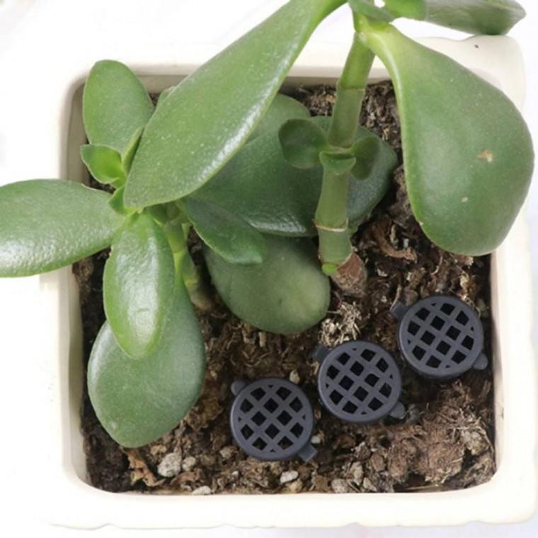 바구니 50p 보관통 알비료 영양제 케이스 식물 비료 영양제