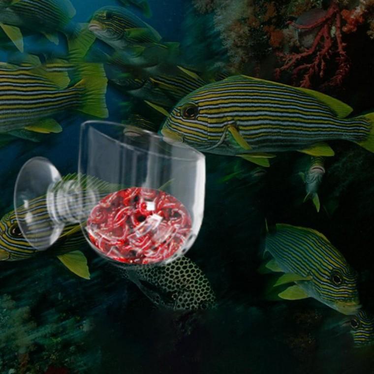 물고기 먹이컵 피딩컵 실지렁이 장구벌레 어항 피딩 생먹이 아크릴피딩컵 먹이급여기