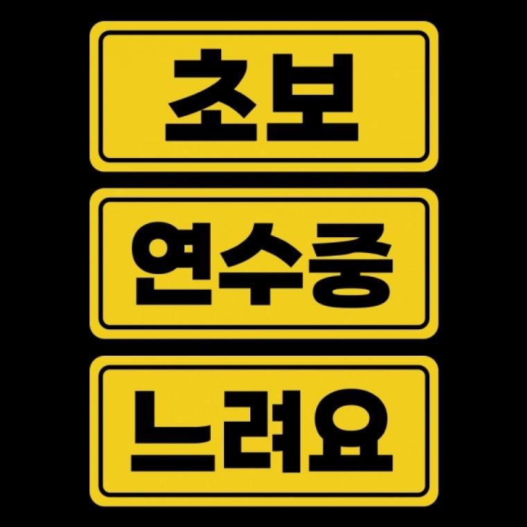 스몰 자국안남는 자석 초보운전스티커 도로주행 연수중