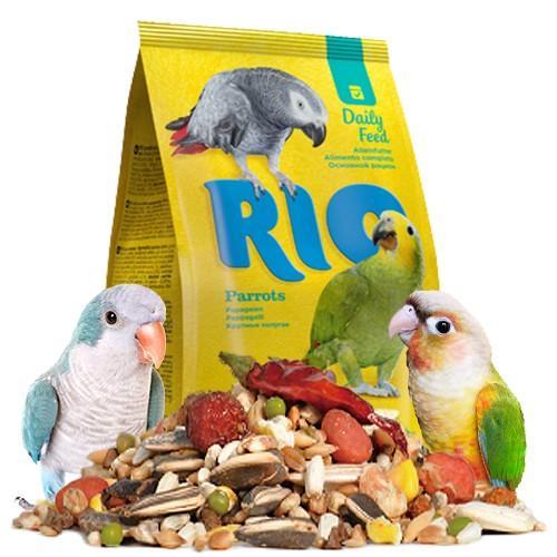 중대형 앵무새 데일리 사료 1kg 먹이
