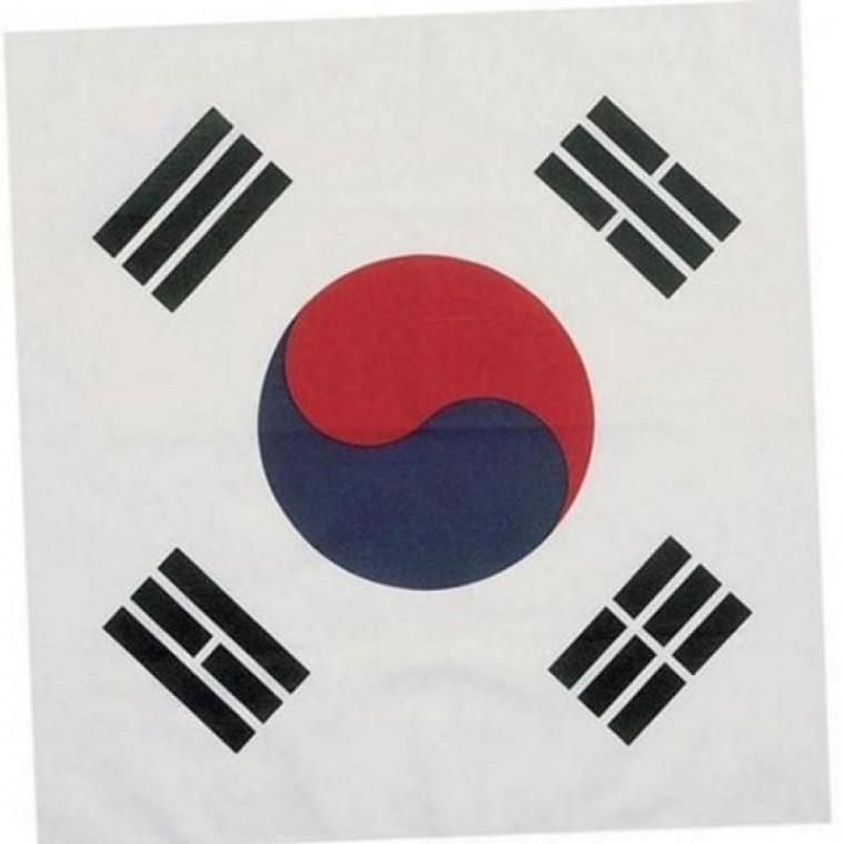 태극기 기념 응원 용 응원용 대형 손수건