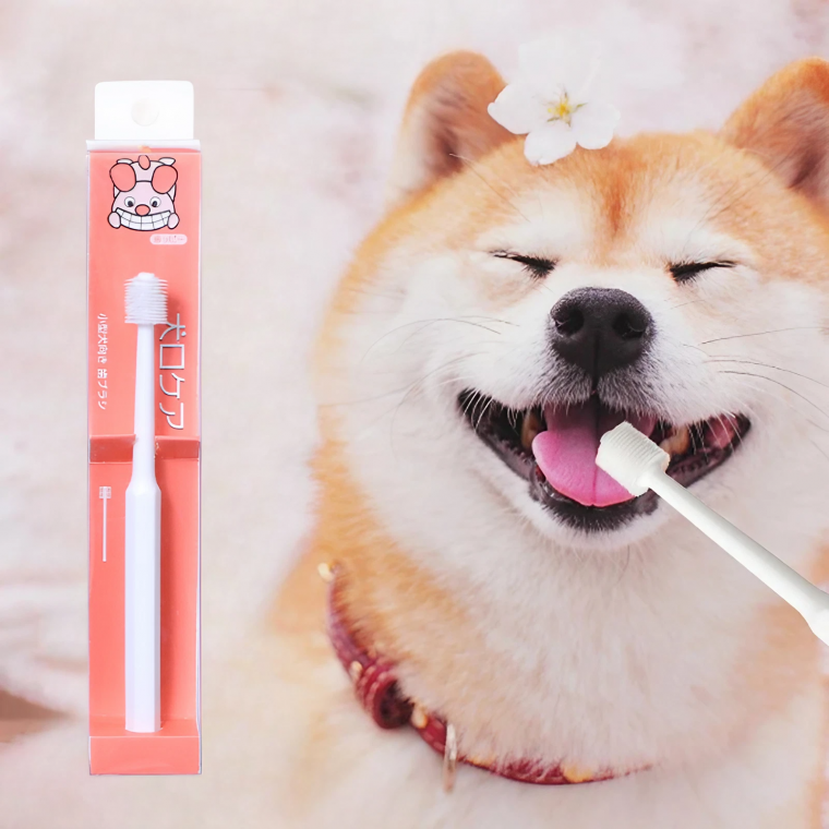 360도 강아지 칫솔 고양이 애견 대형견