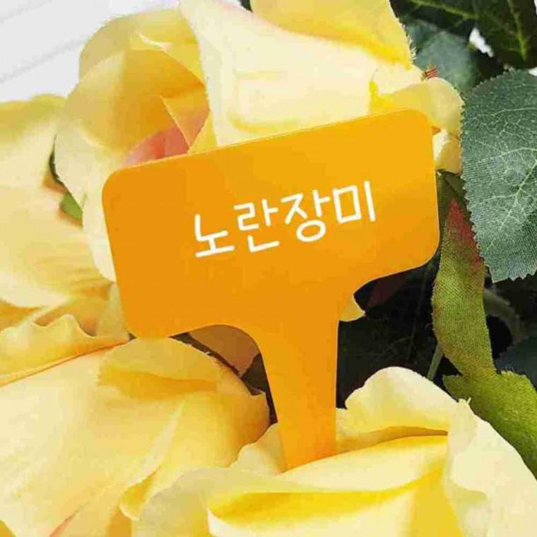 화분 식물 플라스틱 네임태그 대형 화분네임텍 텃밭표찰