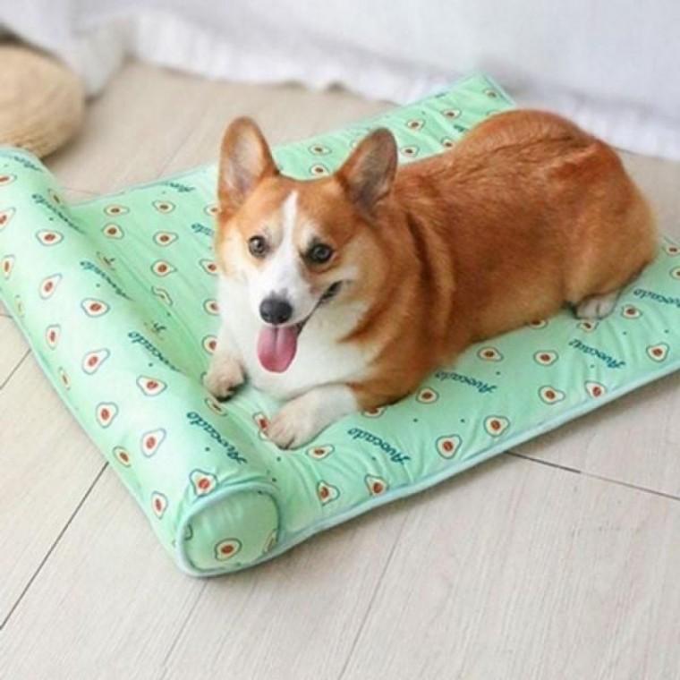 강아지 방석 반려동물 매트 쿨 여름 고양이 애견