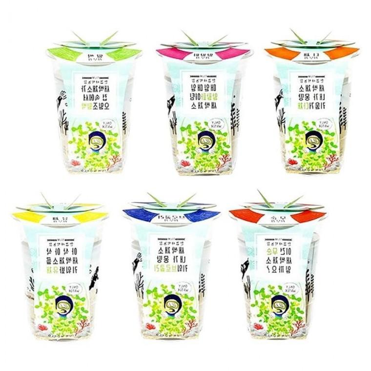 어린이 자연 관찰 한컵 새싹 키우기 키트 2P 식물 농사 세트 수경 재배 체험용 실습 교구 가드닝