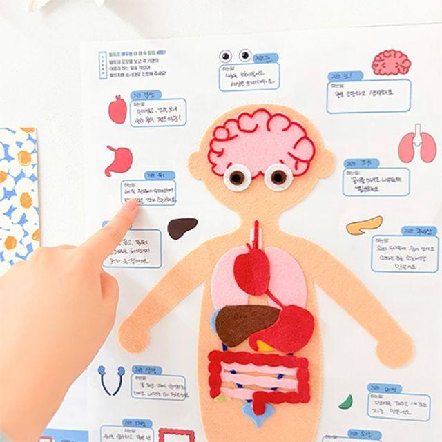 펠트로 배우는 내 몸 속 탐험 세트 초등 과학 키트 초등과 학교구 어린이 인체 초등인체