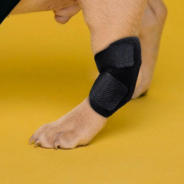 강아지 깁스 슬개골 탈구 보호대 관절 S