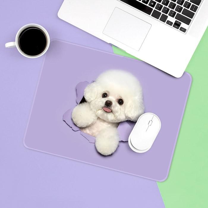 컬러풀 강아지 고양이 마우스패드 S