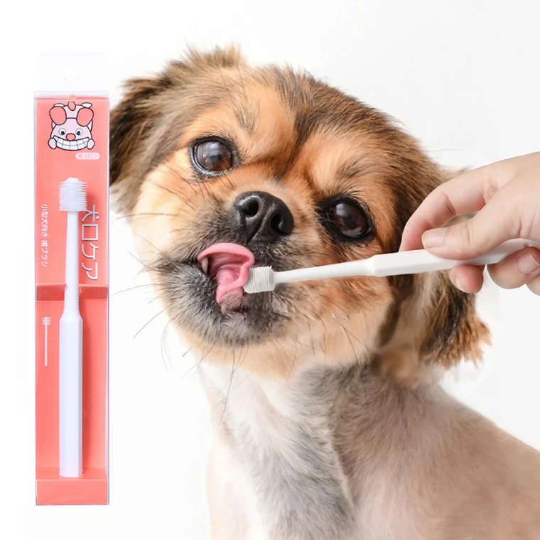 애견 360도 칫솔 강아지칫솔 고양이칫솔