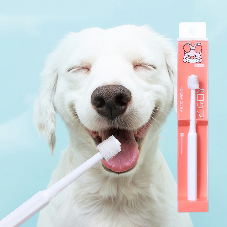 PET 강아지 고양이 360도 칫솔