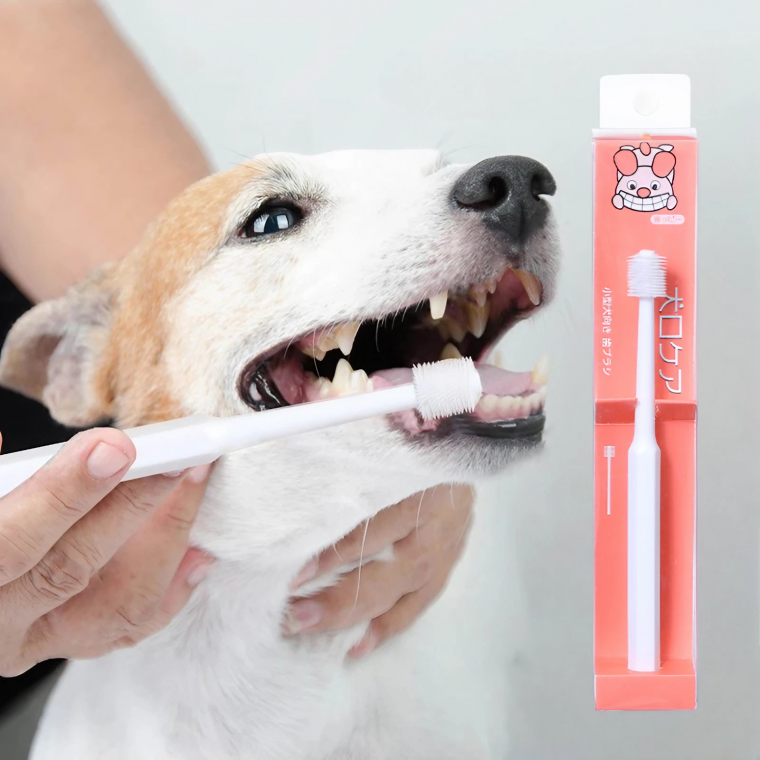 애견 손가락 칫솔 치석제거기 강아지 고양이 360도 칫솔