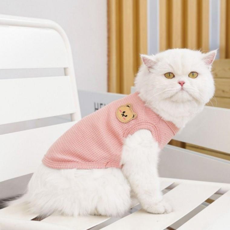 EAS 와플면 강아지 고양이 곰들이 베스트
