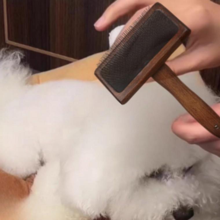 강아지빗 고양이 털갈이 죽은털 제거 털관리 슬리커