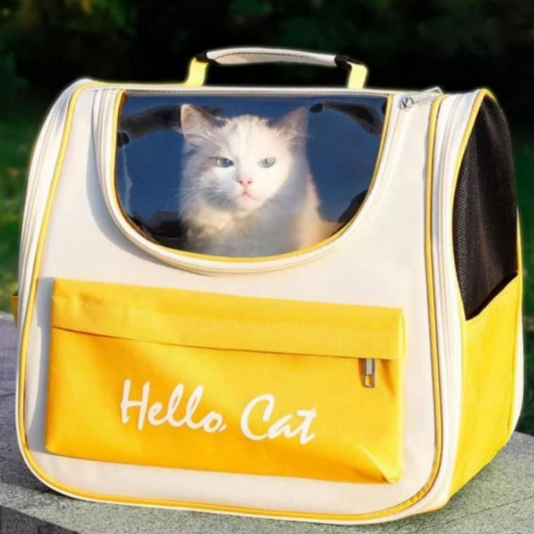 강아지 고양이 산책 백팩 메쉬 캐리어 이동장 이동가방