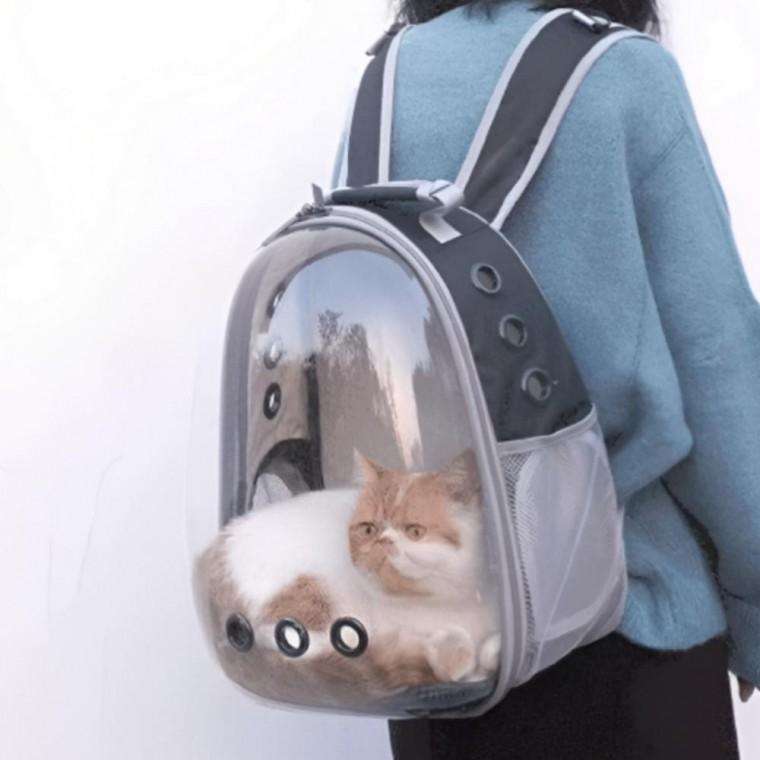 고양이 강아지 반려동물 외출용 백팩 이동가방 캐리어