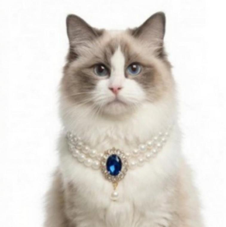 반려동물 강아지 고양이 진주 팬던트 목걸이