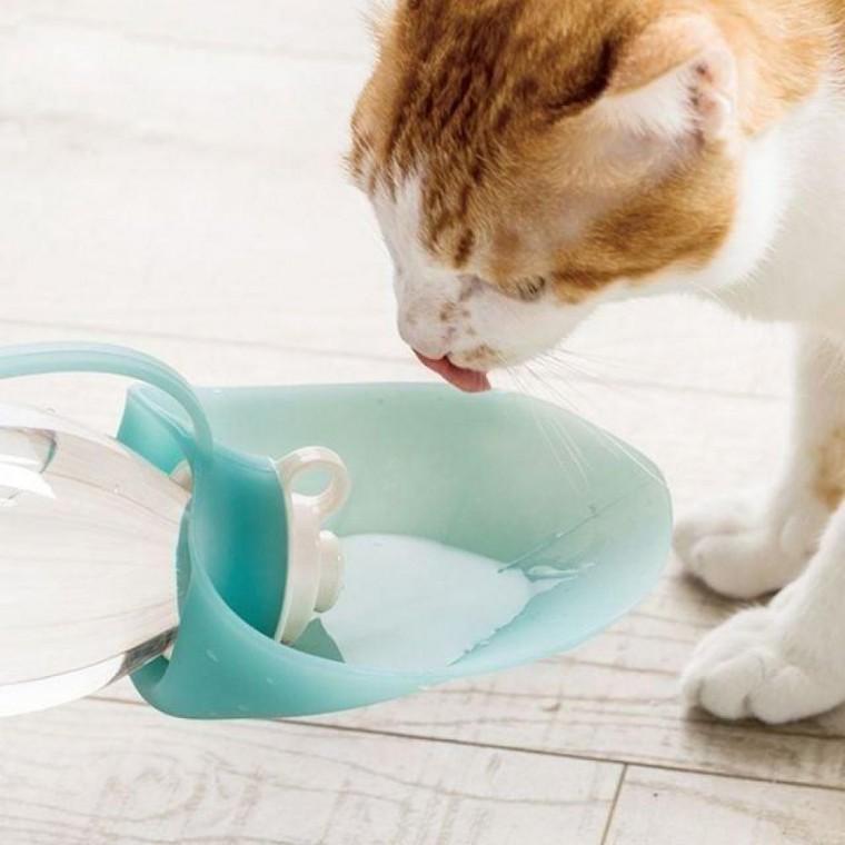 휴대용 반려동물 물통 강아지 고양이 나뭇잎 디자인