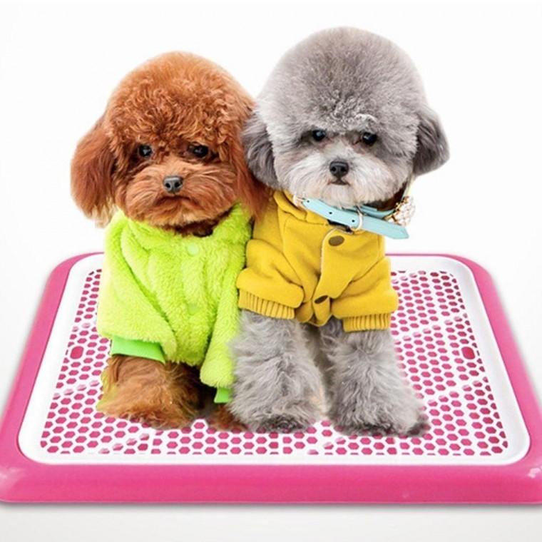 반려견 화장실 훈련 패드 배변판 강아지용 애견 소변판 용품 소형 대형 그물망 토일렛