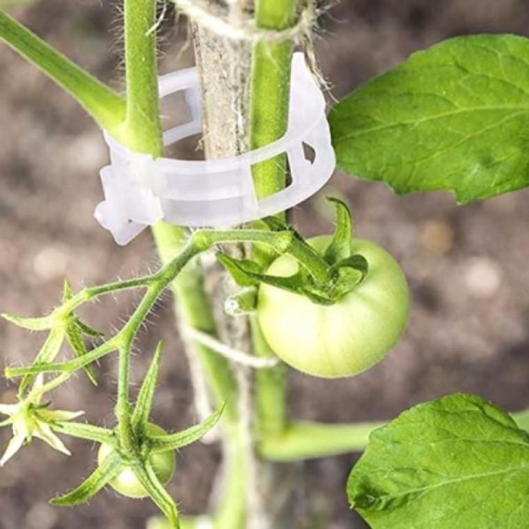 다용도 원형 고정클립 50p