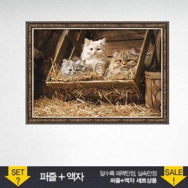 500조각 직소퍼즐 낡은 배럴의 고양이들 (액자포함)