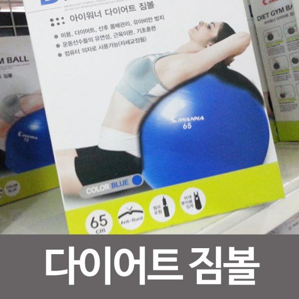 케이코 아이워너 다이어 트 짐볼(65cm 블루) 운동